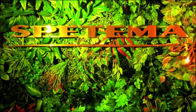 3D volumetric inscription of SPETEMA&nbsp;