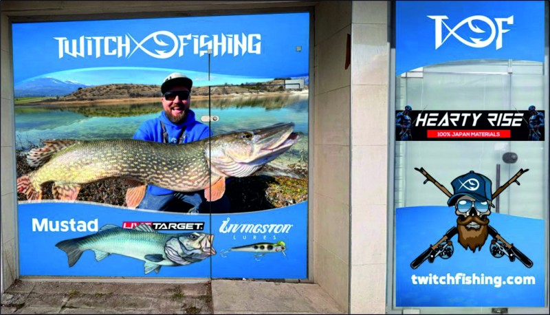 Branding for Twitch fishing&nbsp;
